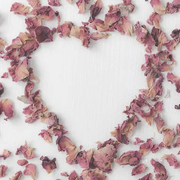 Dry Rose Petals